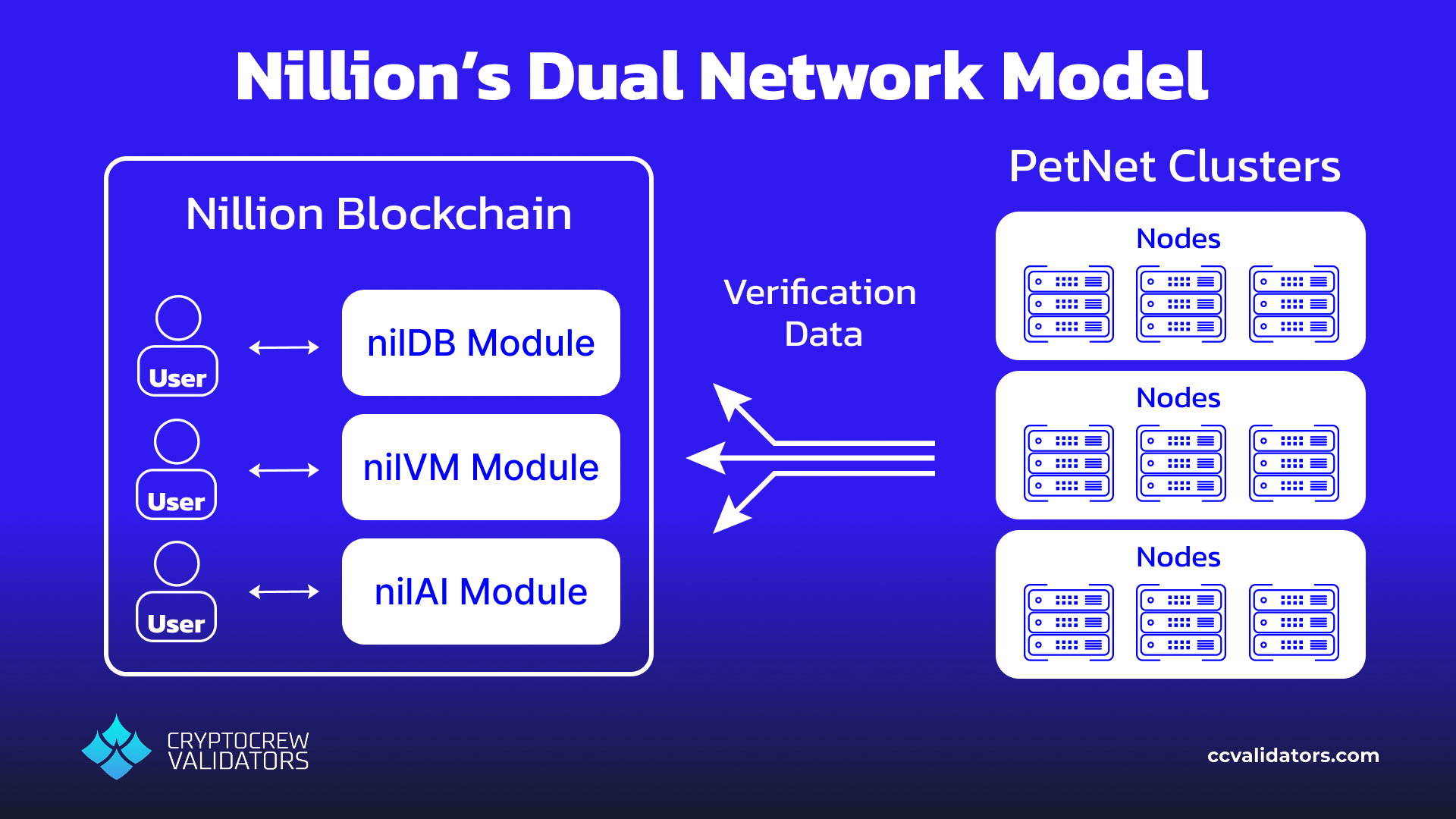 Nillion dual network structure